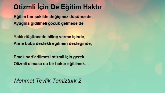 Mehmet Tevfik Temiztürk 2