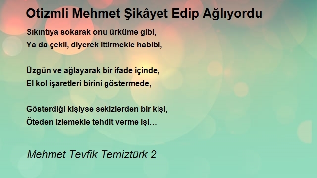 Mehmet Tevfik Temiztürk 2