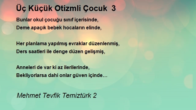 Mehmet Tevfik Temiztürk 2