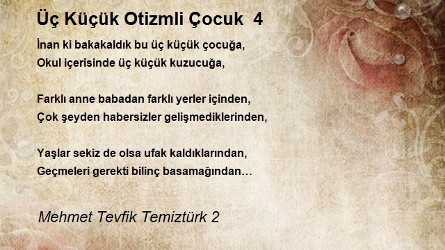 Mehmet Tevfik Temiztürk 2