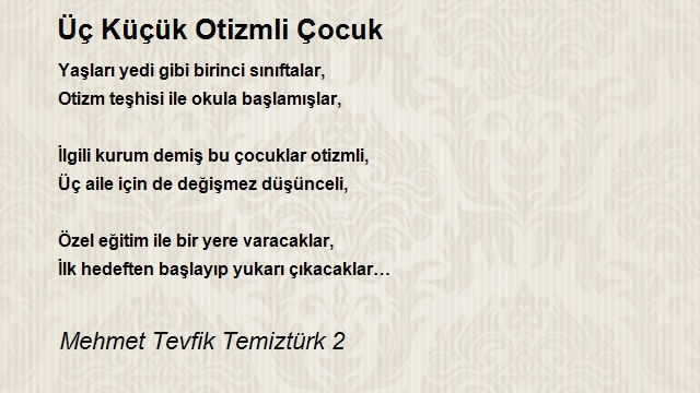 Mehmet Tevfik Temiztürk 2