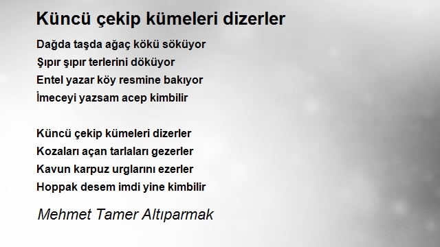 Mehmet Tamer Altıparmak