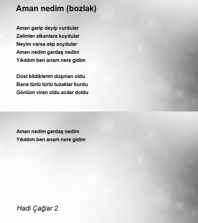 Hadi Çağlar 2