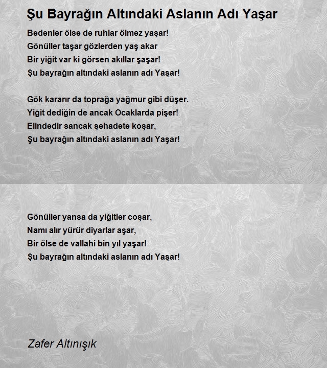 Zafer Altınışık