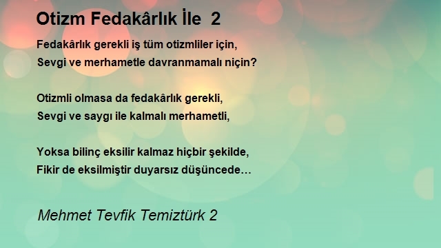 Mehmet Tevfik Temiztürk 2