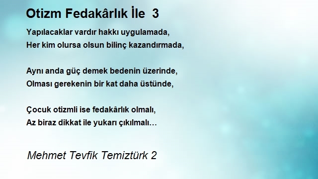 Mehmet Tevfik Temiztürk 2