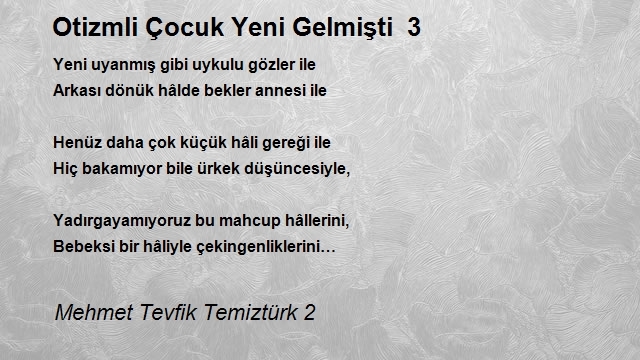 Mehmet Tevfik Temiztürk 2