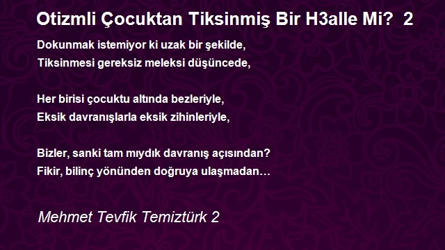 Mehmet Tevfik Temiztürk 2