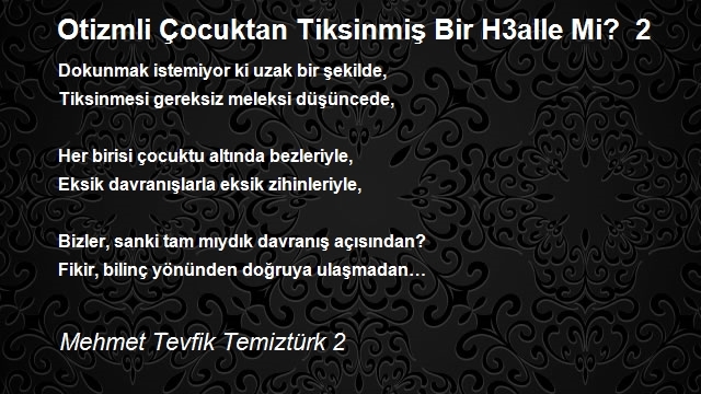 Mehmet Tevfik Temiztürk 2