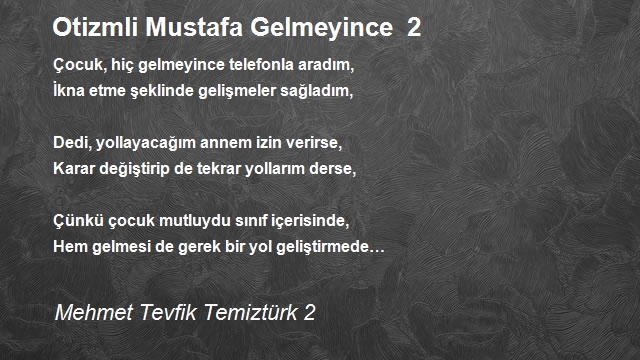 Mehmet Tevfik Temiztürk 2