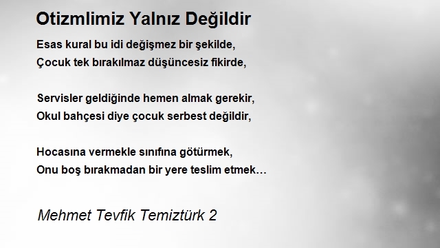 Mehmet Tevfik Temiztürk 2