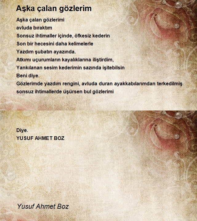 Yusuf Ahmet Boz