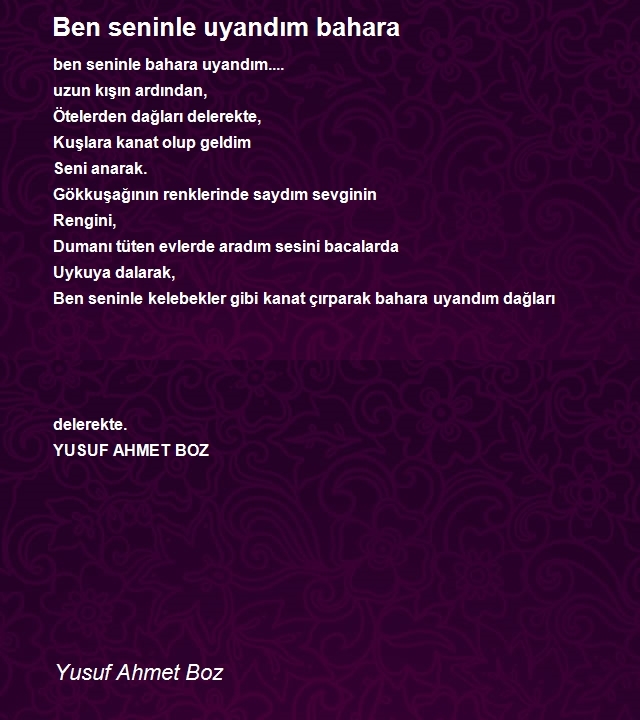 Yusuf Ahmet Boz