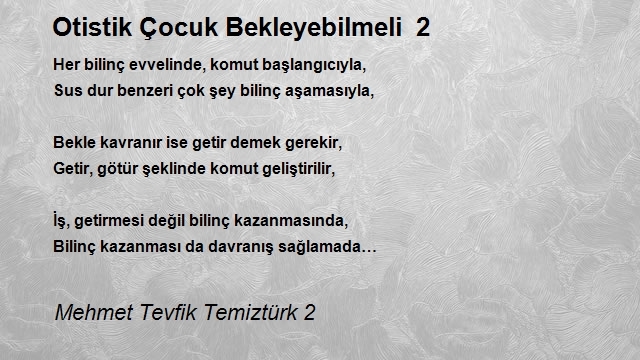 Mehmet Tevfik Temiztürk 2