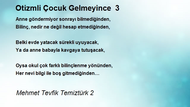 Mehmet Tevfik Temiztürk 2