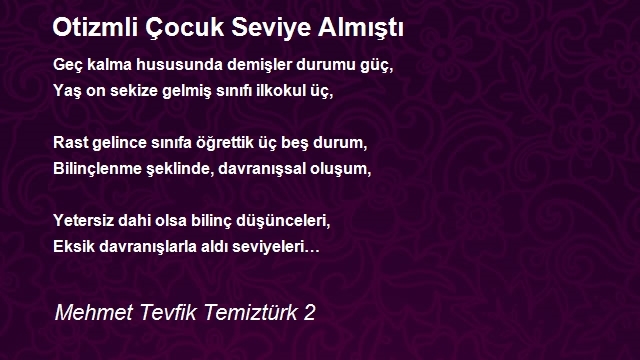 Mehmet Tevfik Temiztürk 2