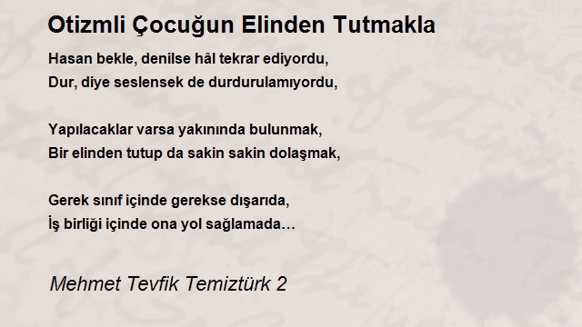 Mehmet Tevfik Temiztürk 2