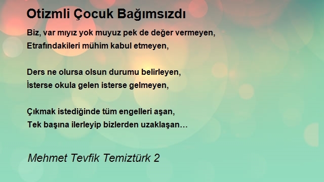 Mehmet Tevfik Temiztürk 2