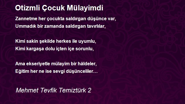 Mehmet Tevfik Temiztürk 2