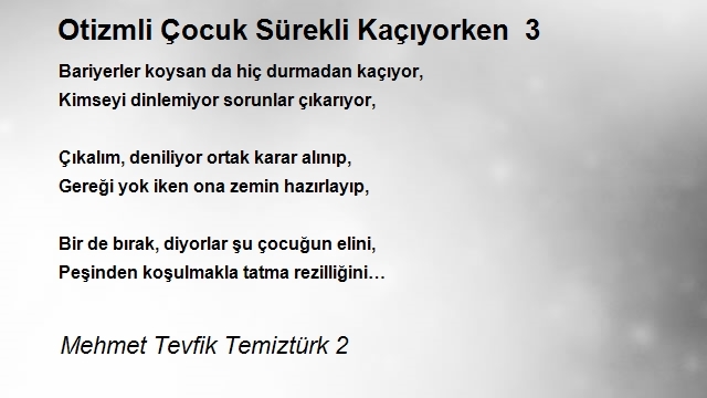 Mehmet Tevfik Temiztürk 2