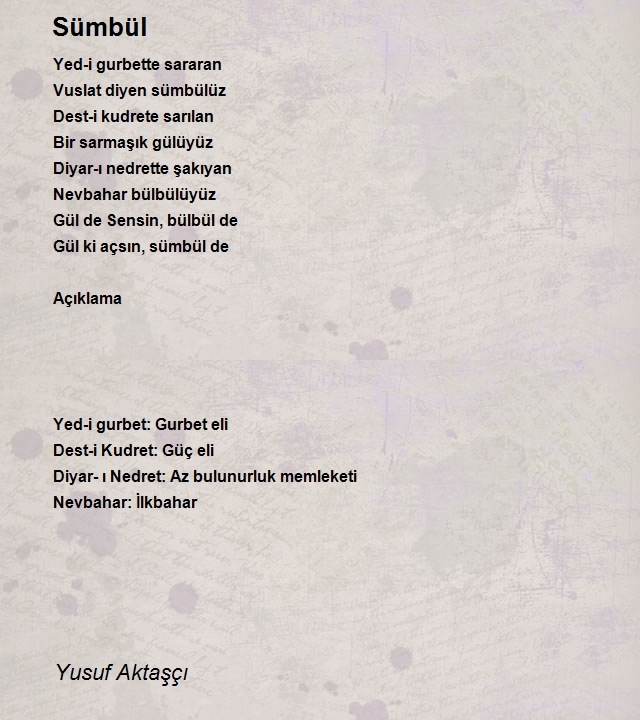 Yusuf Aktaşçı