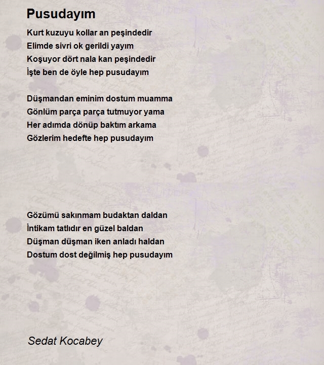 Sedat Kocabey