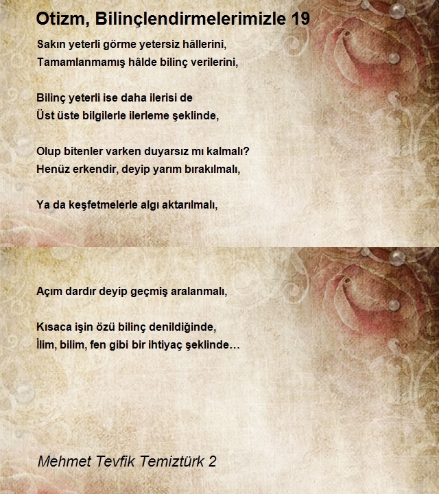 Mehmet Tevfik Temiztürk 2