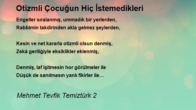 Mehmet Tevfik Temiztürk 2