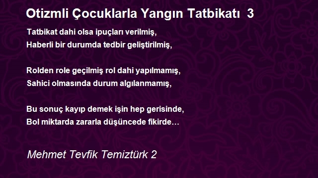 Mehmet Tevfik Temiztürk 2