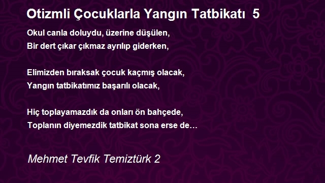 Mehmet Tevfik Temiztürk 2