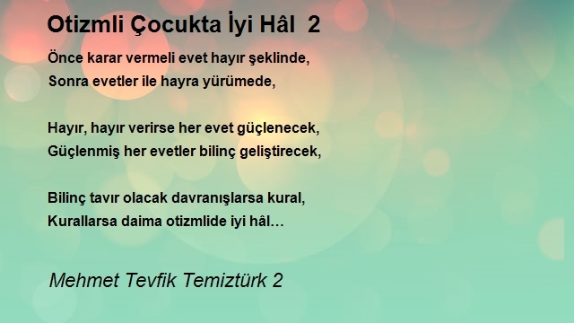 Mehmet Tevfik Temiztürk 2