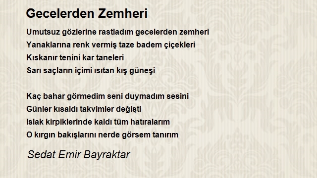 Sedat Emir Bayraktar