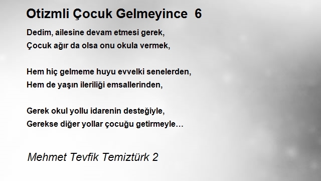 Mehmet Tevfik Temiztürk 2