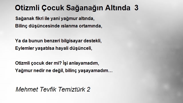 Mehmet Tevfik Temiztürk 2