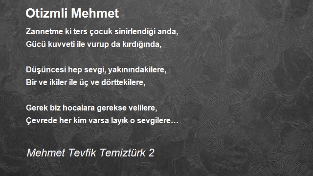 Mehmet Tevfik Temiztürk 2