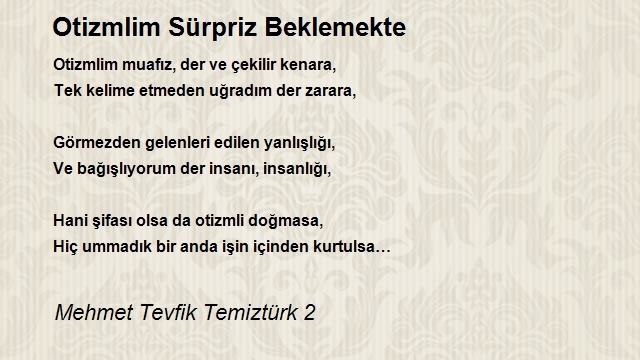 Mehmet Tevfik Temiztürk 2