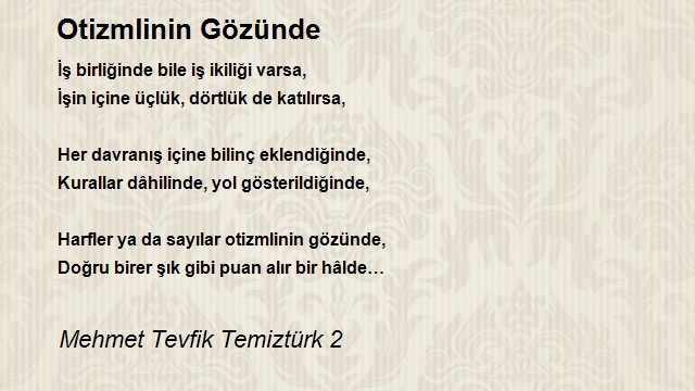 Mehmet Tevfik Temiztürk 2