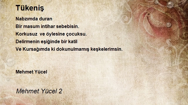 Mehmet Yücel 2