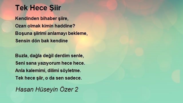 Hasan Hüseyin Özer 2