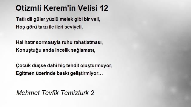 Mehmet Tevfik Temiztürk 2