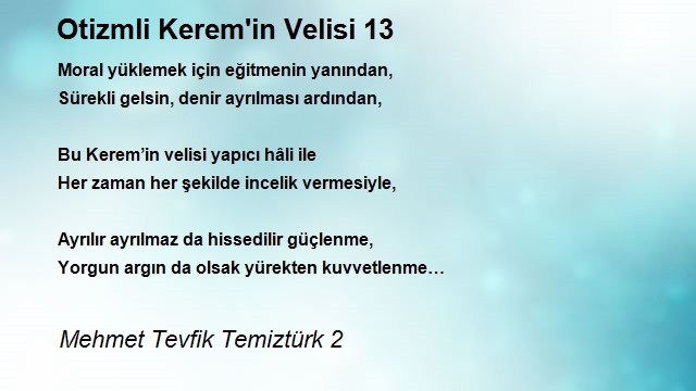 Mehmet Tevfik Temiztürk 2