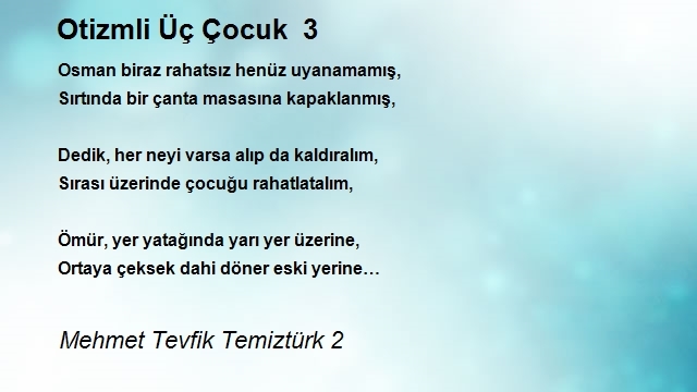 Mehmet Tevfik Temiztürk 2