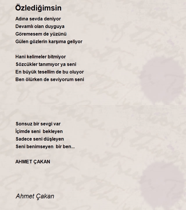 Ahmet Çakan