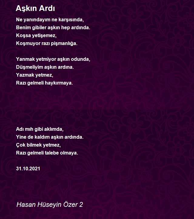 Hasan Hüseyin Özer 2