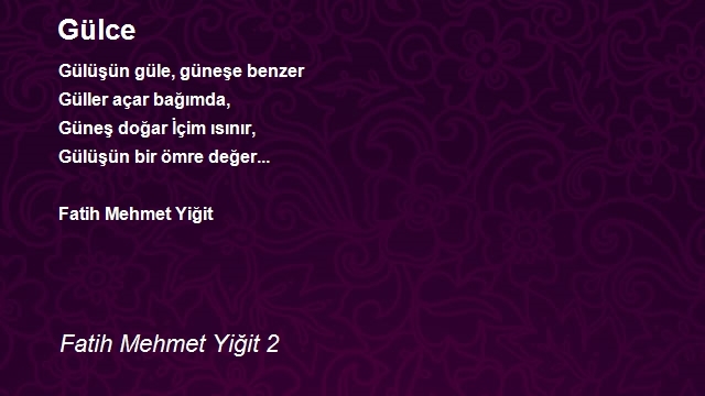 Fatih Mehmet Yiğit 2