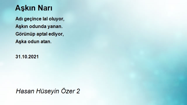 Hasan Hüseyin Özer 2