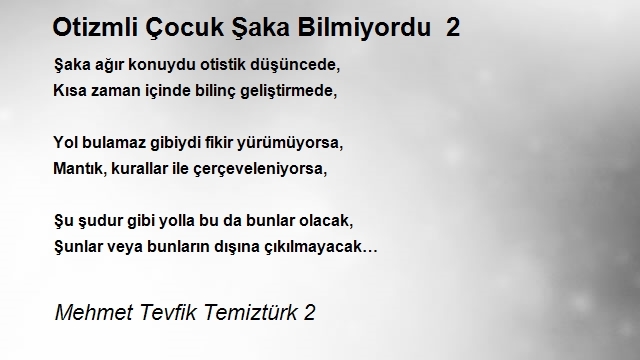 Mehmet Tevfik Temiztürk 2