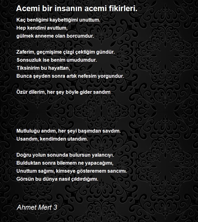 Ahmet Mert 3