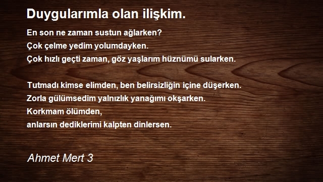 Ahmet Mert 3