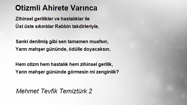 Mehmet Tevfik Temiztürk 2